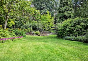 Optimiser l'expérience du jardin à Arroses